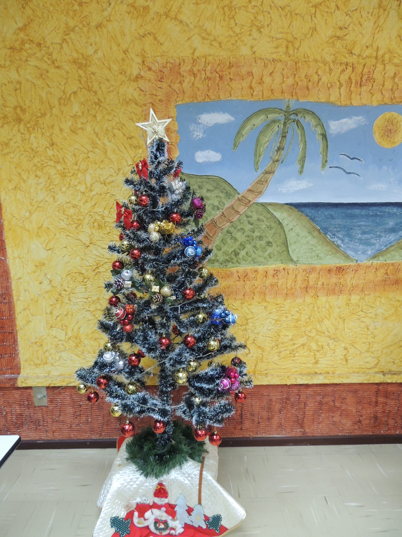 DSCN7518 - natal