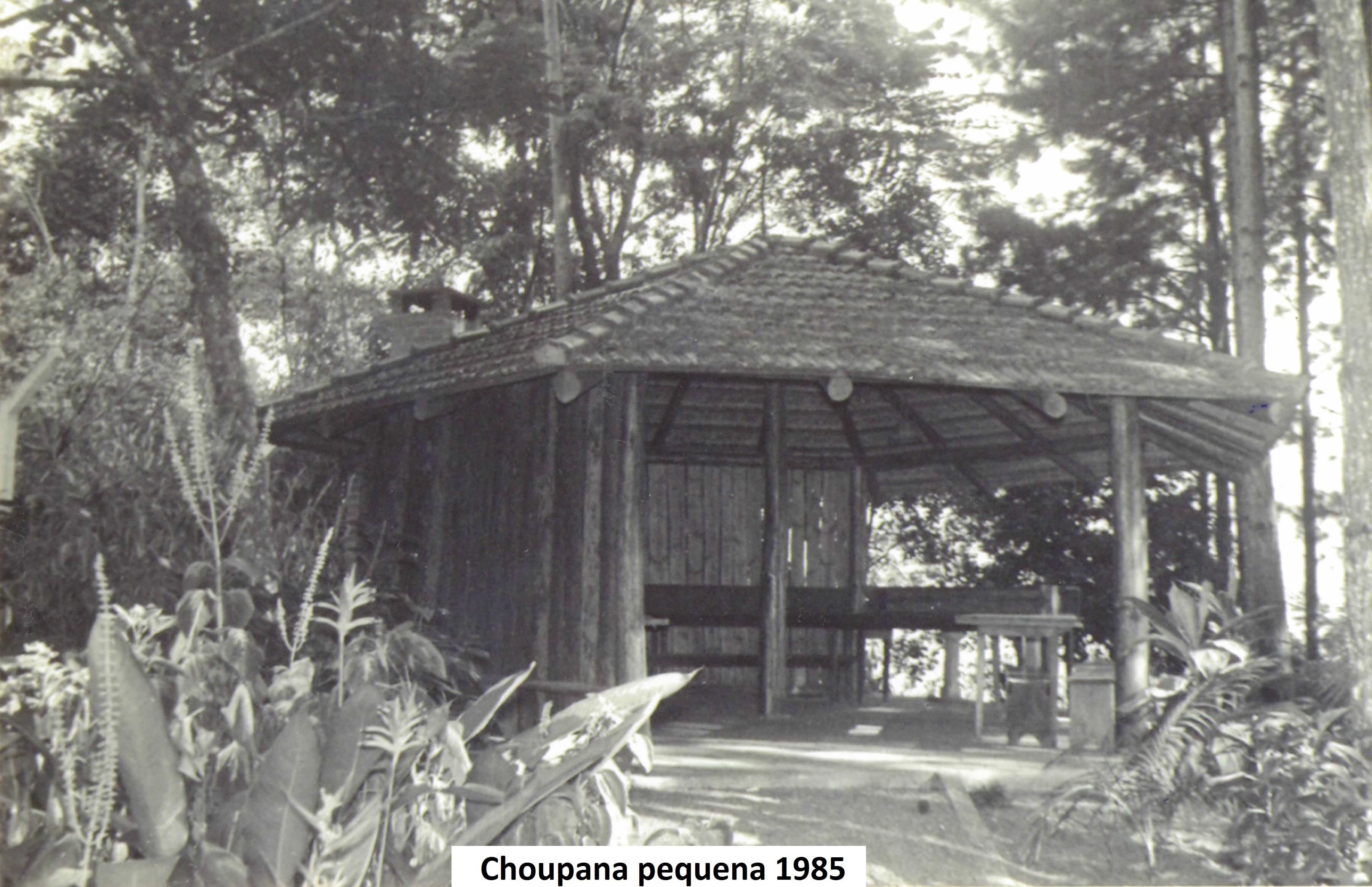 choupana-pequena-1985