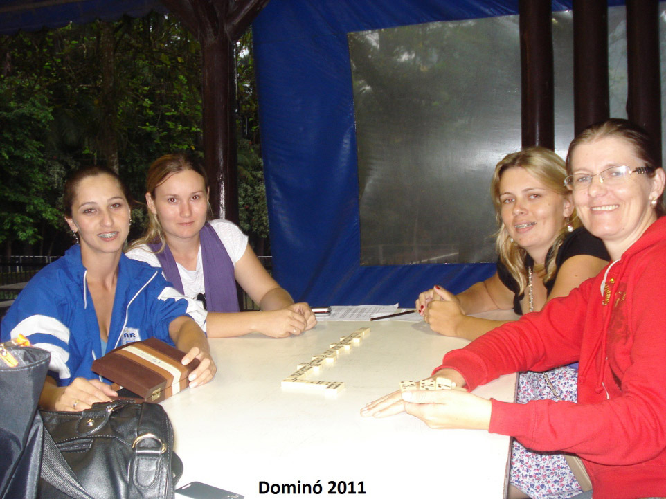 domino2011